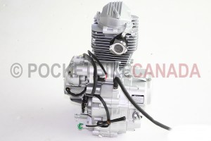 engine 813 250cc w. reverse4